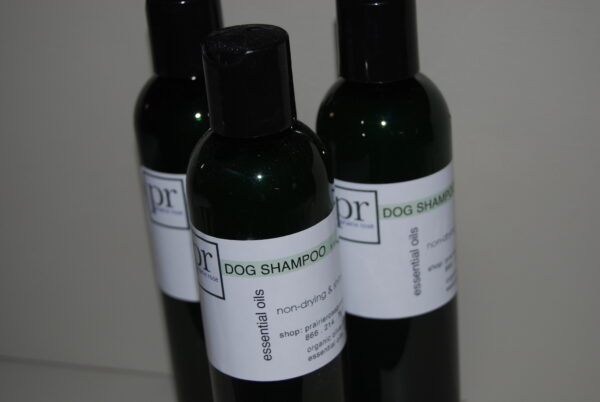 Dog Shampoo - Liquid