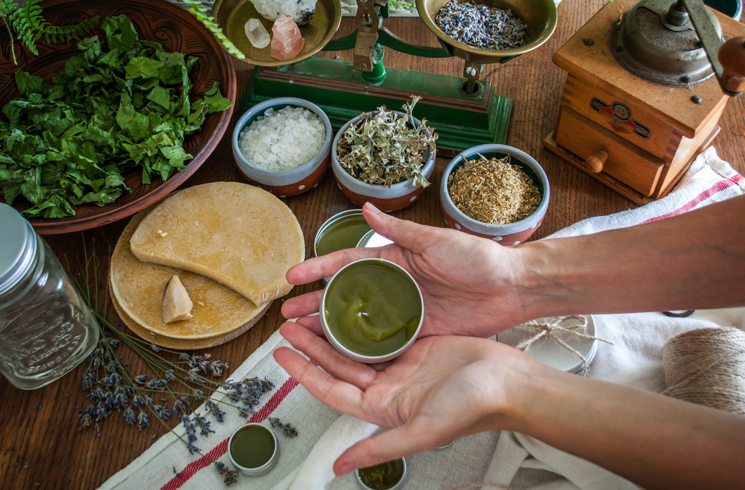 Women's,Hands,Holding,A,Tin,Jar,Of,Homemade,Salve.,Home